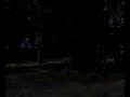street boxig