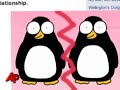 Flying Straight? Same-sex Penguin Couple Splits