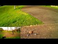 (m grant)Pocket Quad QUADCOPTER DJI Bumblebee treat it rough then go out and fly perfectly N3M1S1S