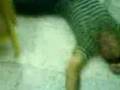 videos de Durmiendo en el trabajo.3gp