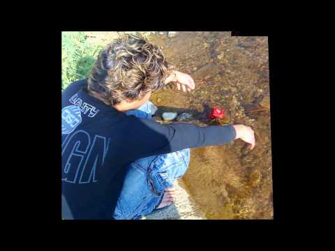 PainFull Punjabi Sad Song .................K-Z JARAL