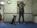Vista previa del video Hace ejercicio con su perro
