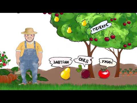 Овощи и фрукты