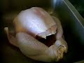 cocinando el pav 1 parte xD