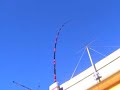 Antenna canna da pesca/2