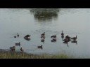 Outdoors Test HD Outdoors Test HD