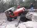 Bull on Webber Falls I
