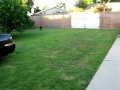 videos de MVI 5089