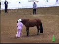 AQHA World Championships, Fort Worth TX