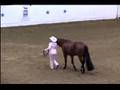 AQHA World Championships, Fort Worth TX