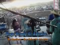 Grupo Brandy El Salvador.En Aguilares en Vivo
