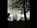 Dweeping - Royals