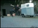 Dave and Buttli Flipping fun Dave and Buttli Flipping fun