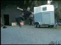 Dave and Buttli Flipping fun