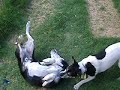 arthur-blank-responds-to-michael-vick-gets-23-months.html