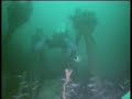 LIBERTY SHIP OFF PORTLAND  55M