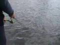 Twitching - Russian Fishing Style Рыбалка - твичинг
