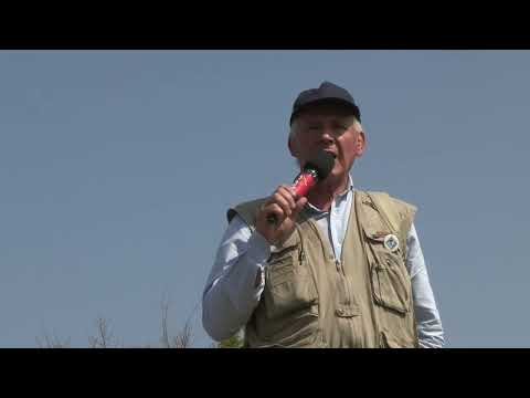 Image de prévisualisation YouTube