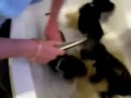 Bathtime Bathtime