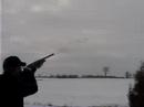 patric-flanagan-exhibition-shooter.html