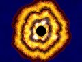Disease simulations Disease simulations