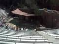 Renato Zoo San Diego 5