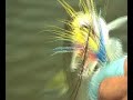 Welcom to the Jungle Welcom to the Jungle