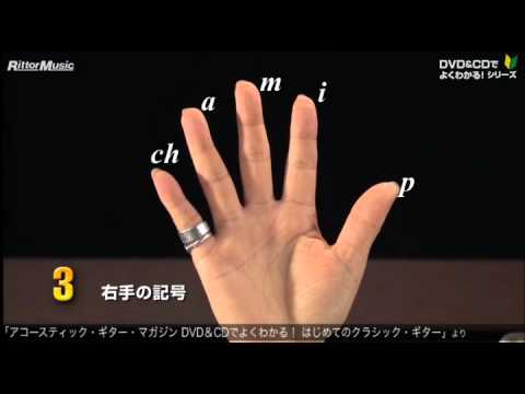 動画