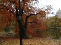 boston garden.wmv