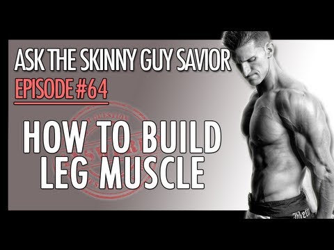 how to build leg muscle