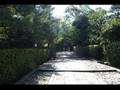 20070817_京都, Vivaldi 調和の霊感 第10番
