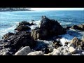 Fleet Foxes - The Shrine / An Argument music video