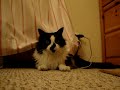 Behind Curtain