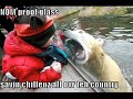 LOL Animals