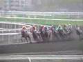 Sha Tin Horse Race Track, Hong Kong