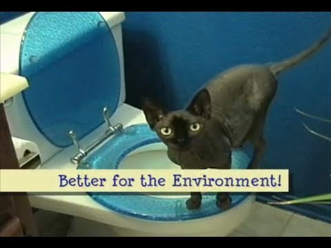 how to train a cat to use the toilet