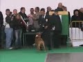 CH FRAEL RED PURE PASSION, WORLD DOGSHOW, POLAND 2006