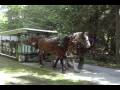 The Beauty of Mackinac Island, Michigan 2008