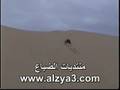 wheelie سيارة بقي ترفع غزاله wheelie سيارة بقي ترفع غزاله