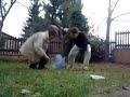 Amazing Italy Explosion