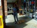 Derby the Goldendoodle Graduates Dogtra