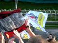 videos de Perugia-Taranto 3-0 (coro dei tifosi)