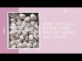 How To Tell When Your Pointe Shoes Are Dead