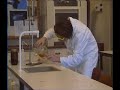 het-rhedens-promotie-film.html