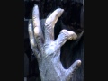 BIGFOOT HANDS ANALYSIS 31 MAR 2012.wmv