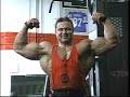 Tommi Thorvildsen - Training Arms 5