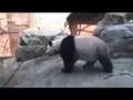 videos de Seilers in China 08.23.2008