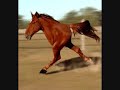 Retarded Two Legged Horse
