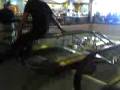 videos de Escalator Spin - FAILURE