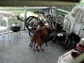 snoop-dog-ft-rich-boy-break-a-nigga-off.html